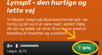 Mobil Guide 1